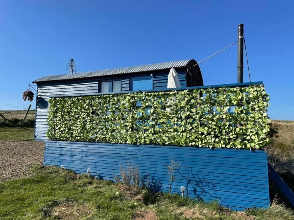 Croft B&B Accommodation With Hot Tub Gamrie 外观 照片
